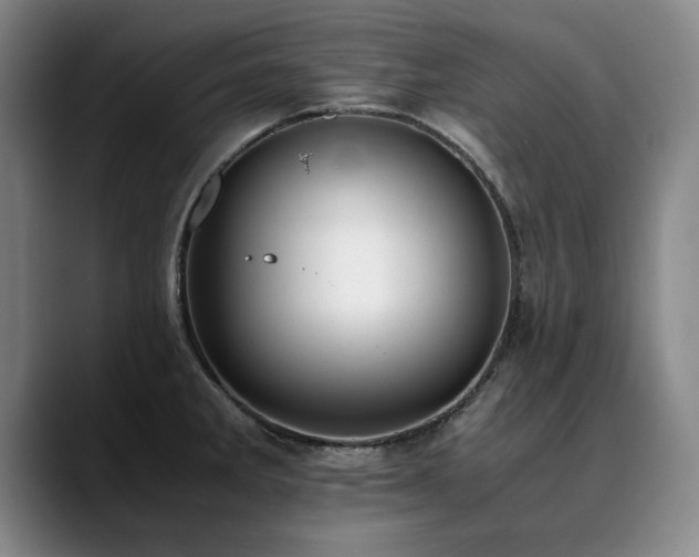 X0000090701285200707201151