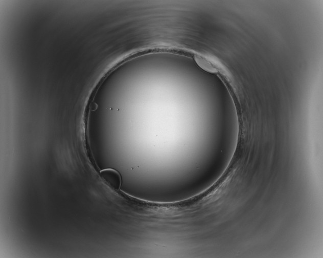X0000090701287200707201151