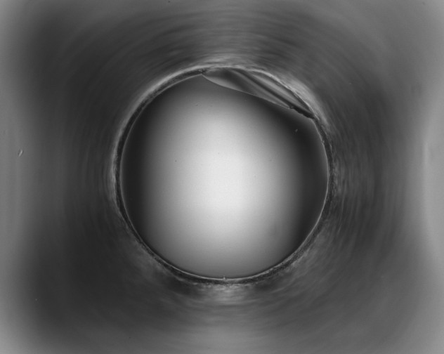 X0000090701288200707201151