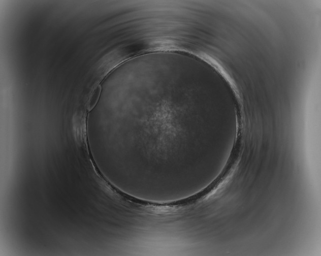 X0000090701289200707201151