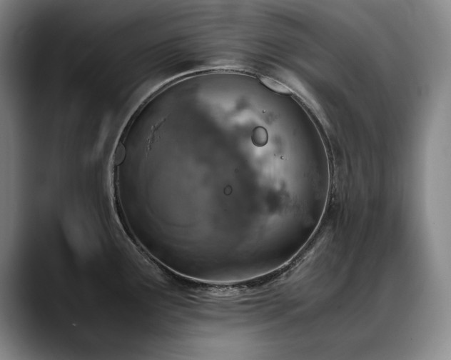 X0000090701291200707201151