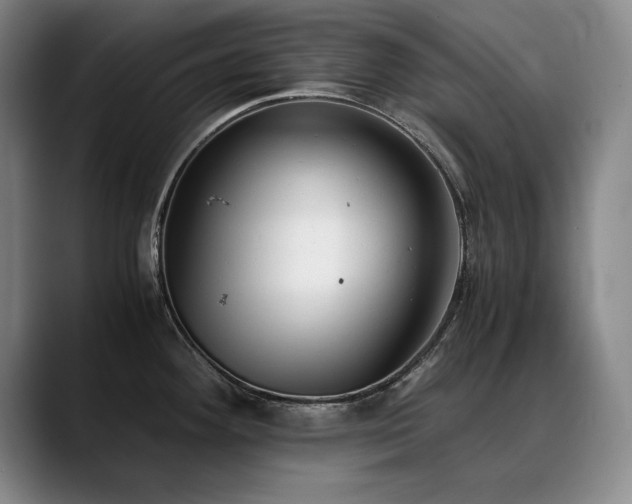 X0000090701292200707201151