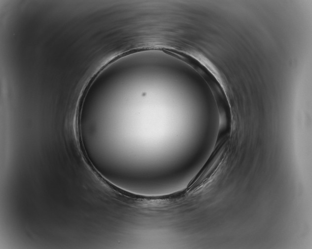 X0000090701293200707201151