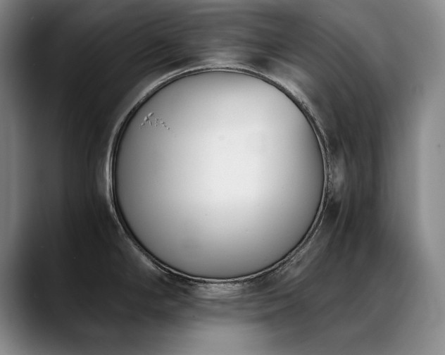 X0000090701294200707201150
