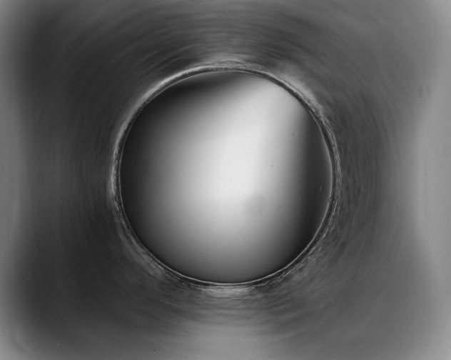 X0000090701296200707201150