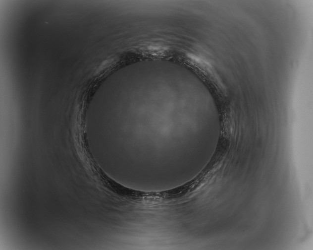 X0000090701297200707201150