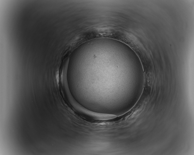 X0000090701298200707201150