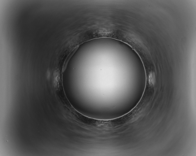 X0000090701299200707201150