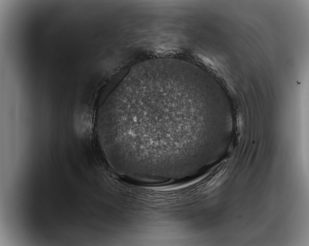 X0000090701300200707201150