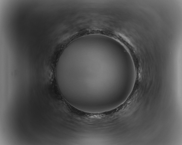 X0000090701303200707201150