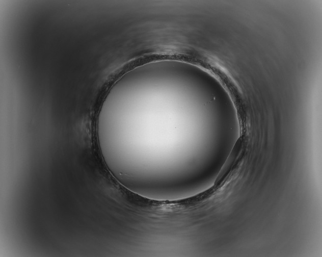 X0000090701304200707201150