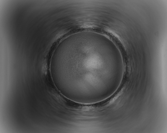 X0000090701306200707201150