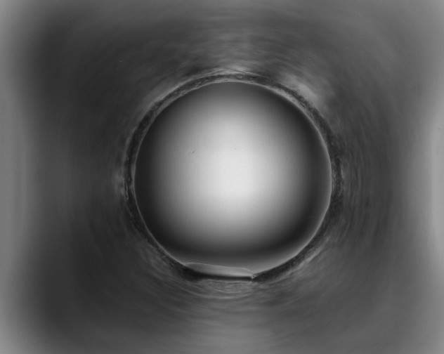 X0000090701308200707201150