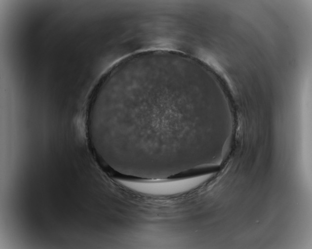 X0000090701312200707201150