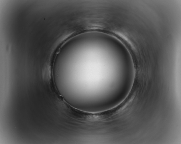 X0000090701317200707201150