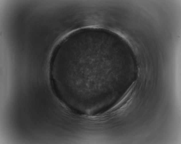 X0000090701319200707201150