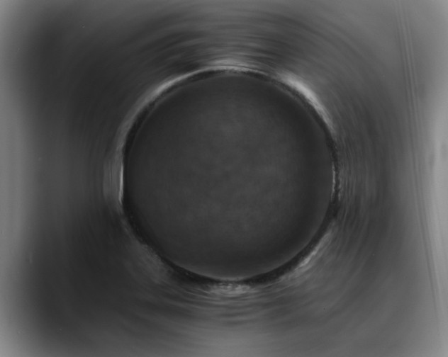 X0000090701323200707201150