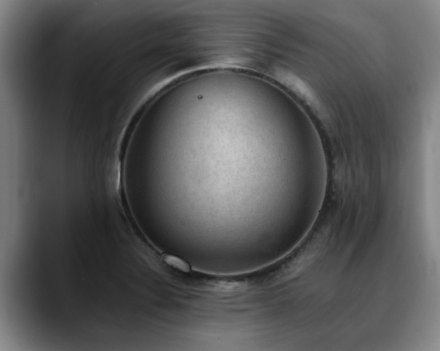 X0000090701324200707201150