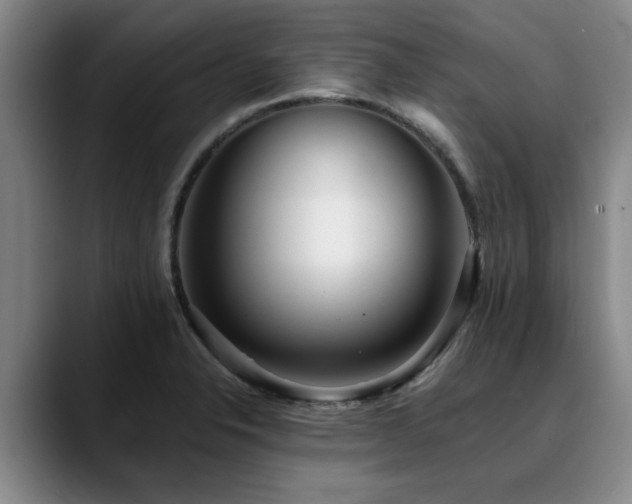 X0000090701326200707201150