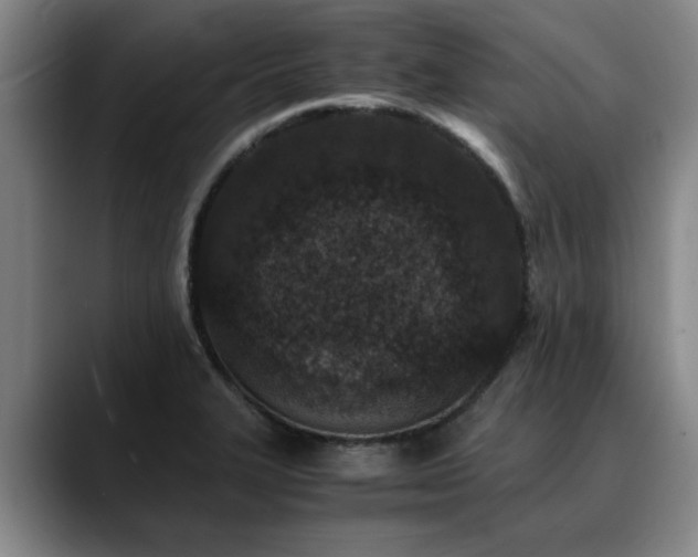 X0000090701327200707201150