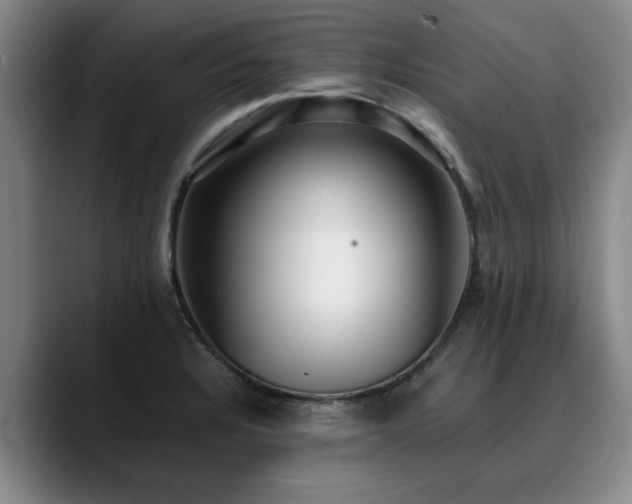X0000090701328200707201150
