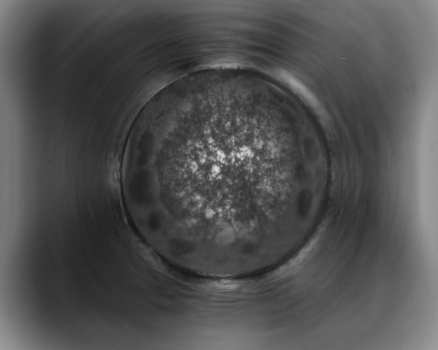 X0000090701329200707201150