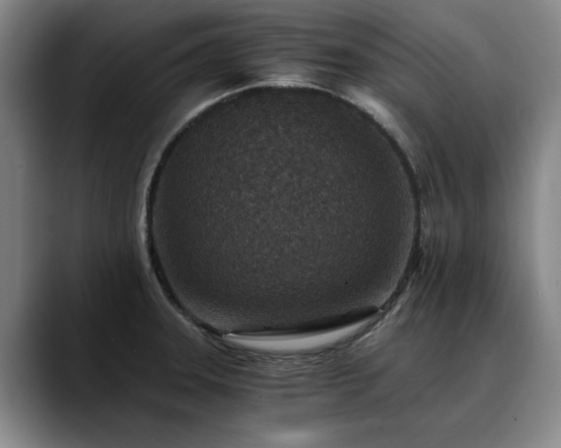 X0000090701331200707201150