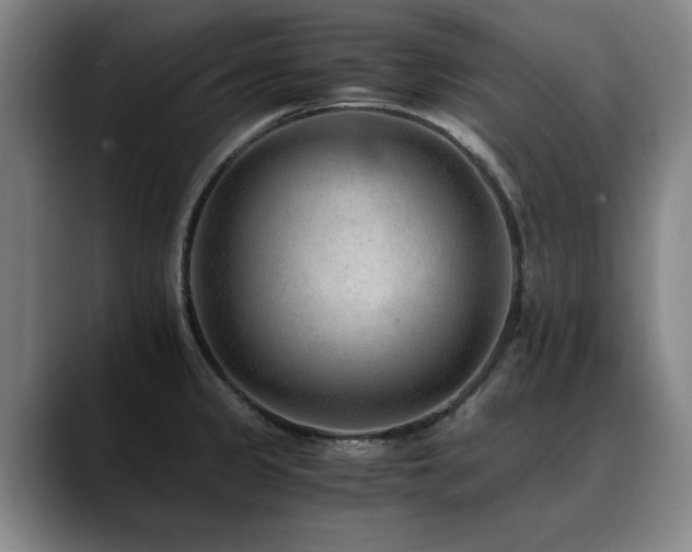 X0000090701333200707201150