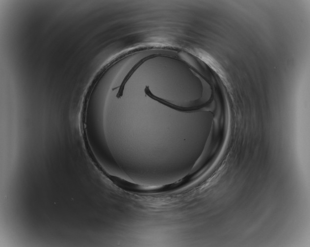 X0000090701334200707201150