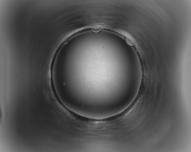 X0000090701335200707201150