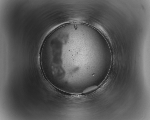 X0000090701336200707201150