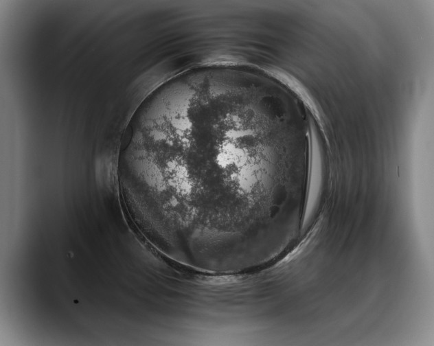 X0000090701337200707201150
