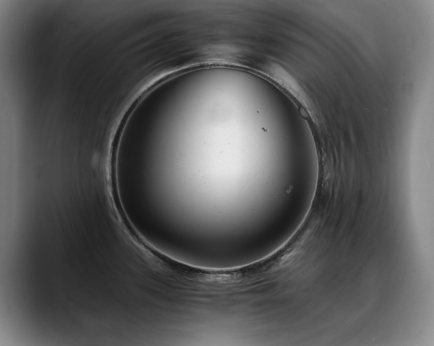 X0000090701339200707201150