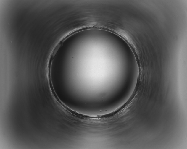 X0000090701342200707201150