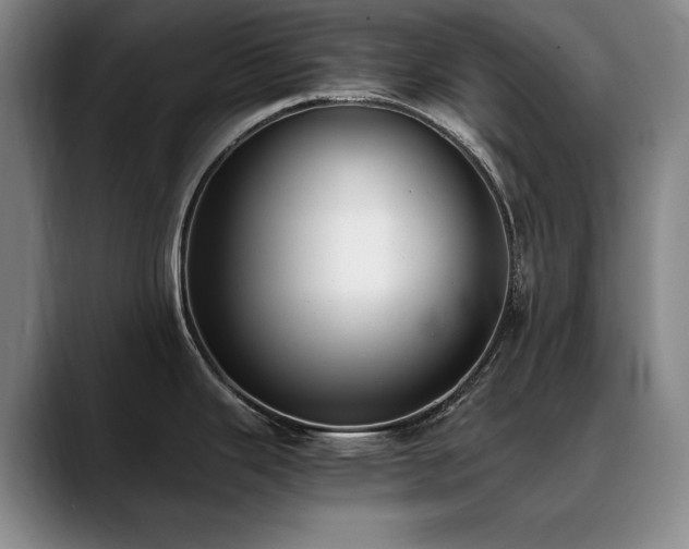 X0000090701343200707201150