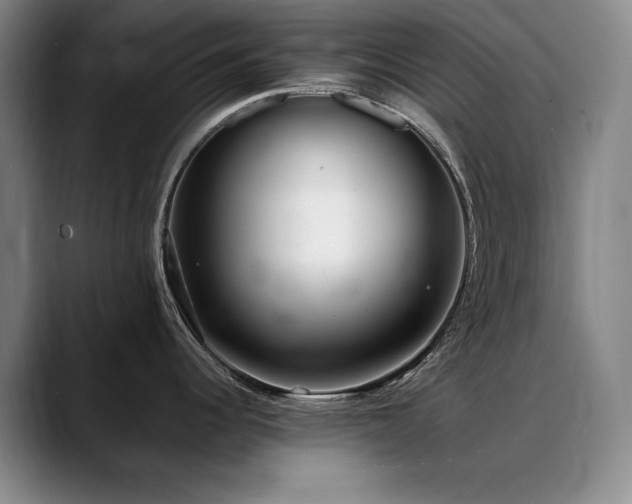 X0000090701344200707201150
