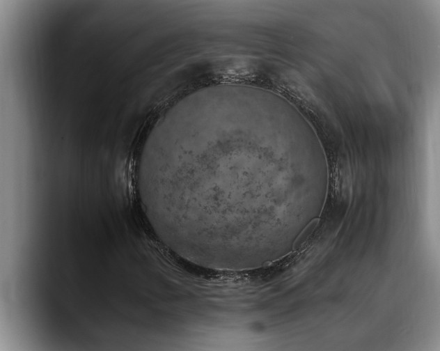 X0000090701346200707201150