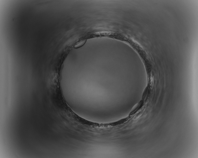 X0000090701351200707201150