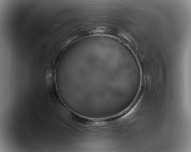 X0000090701353200707201150