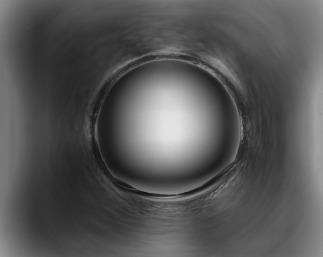 X0000090701356200707201150