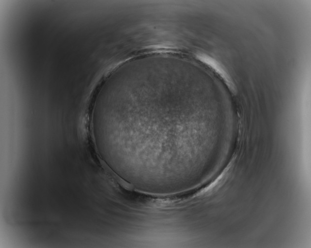 X0000090701357200707201150