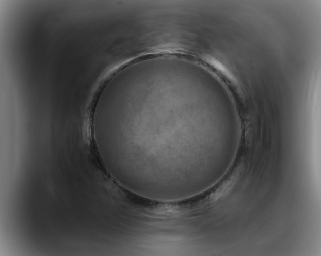 X0000090701358200707201150