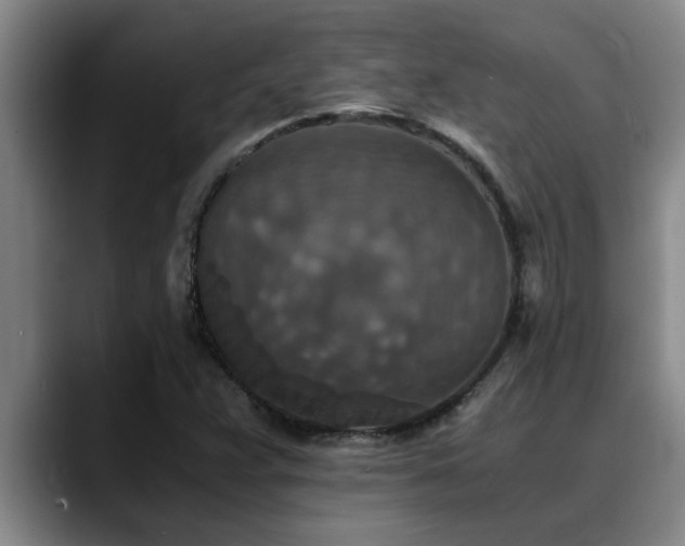X0000090701359200707201150