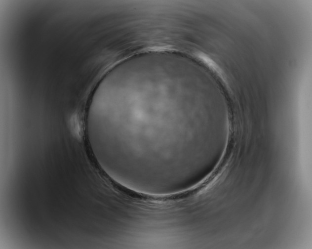 X0000090701361200707201150