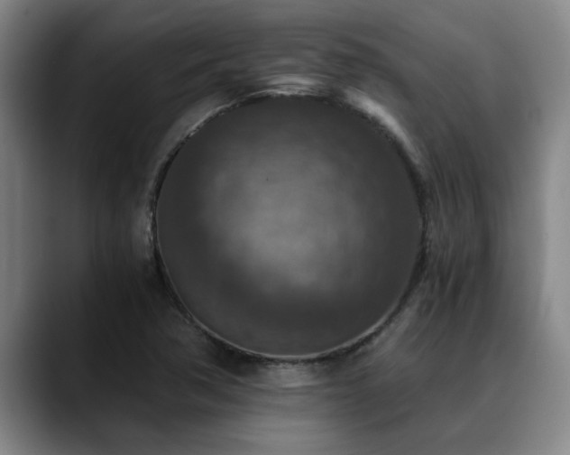X0000090701362200707201150