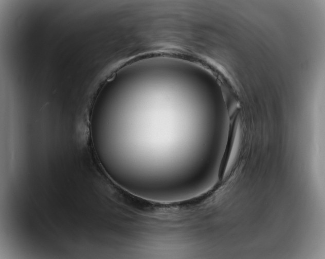 X0000090701363200707201150
