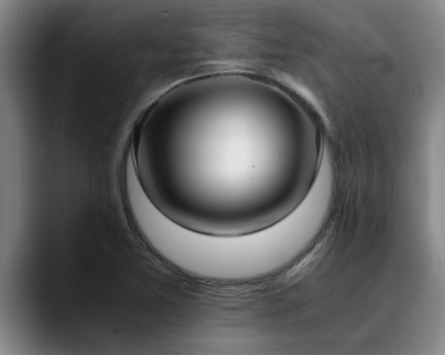 X0000090701365200707201150