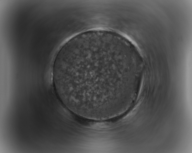 X0000090701367200707201150