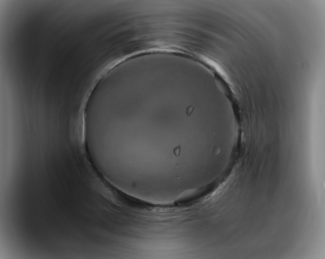 X0000090701371200707201150