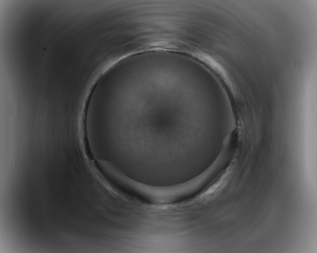 X0000090701373200707201150